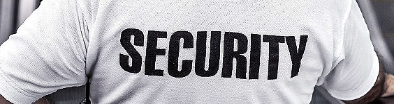 Image of a person wearing a shirt with the word Security on the back.