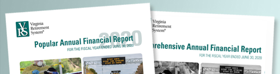 VRS Popular and Annual Reports